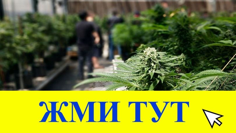 Купить наркотики в Набережных Челнах